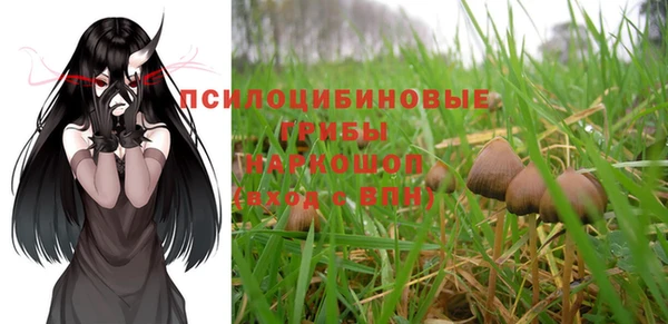 ГАЛЛЮЦИНОГЕННЫЕ ГРИБЫ Майский