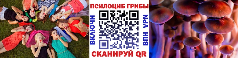ссылка на мегу рабочий сайт  Тутаев  Галлюциногенные грибы ЛСД 