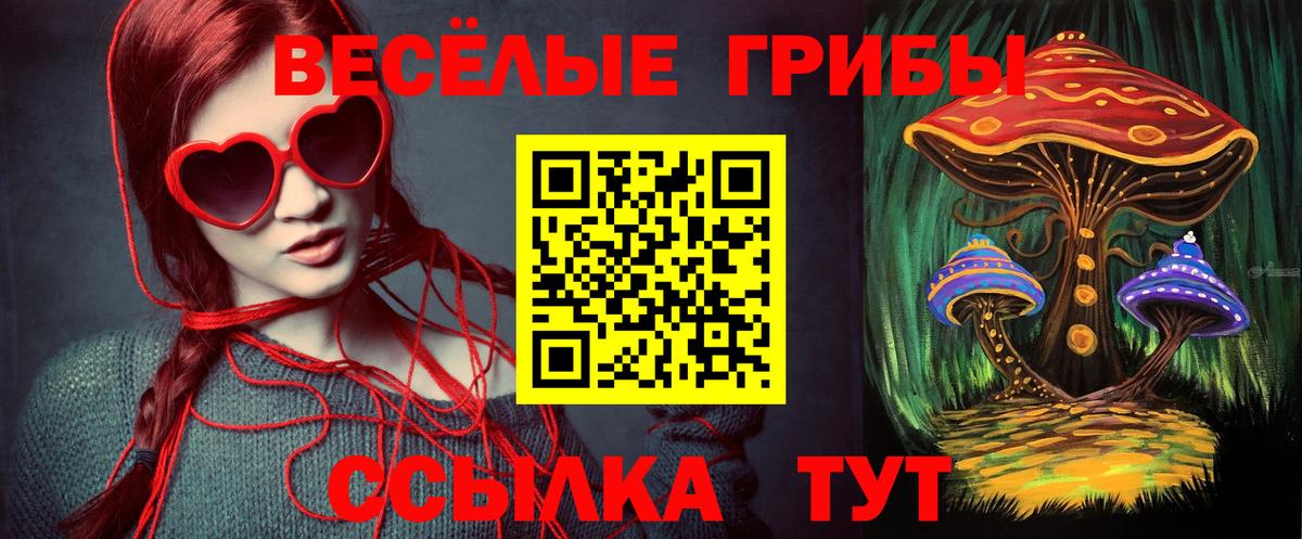 Псилоцибиновые грибы прущие грибы Тутаев